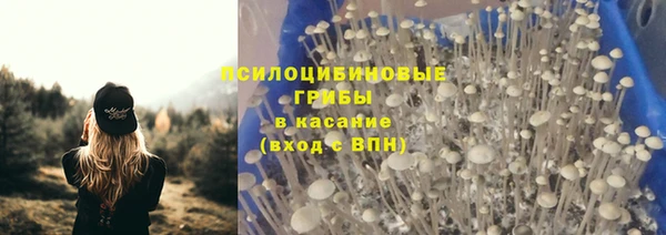 эйфоретик Белокуриха