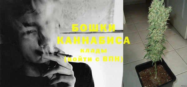эйфоретик Белокуриха