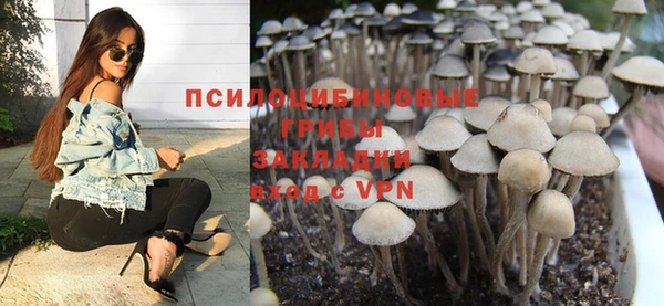 бошки Беломорск
