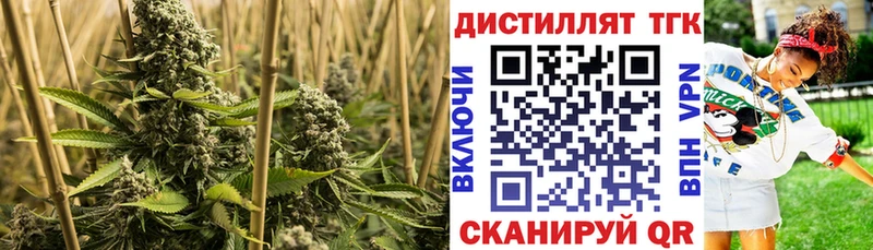 MEGA онион  Нефтекумск  Дистиллят ТГК THC oil 