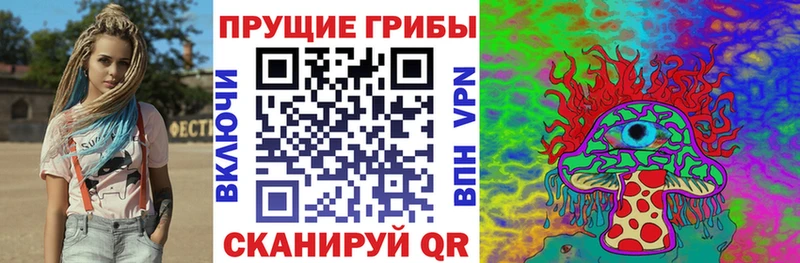 где можно купить наркотик  Нефтекумск  Галлюциногенные грибы Magic Shrooms 